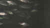 16.jpg (414174 Byte)