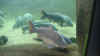 18.jpg (1023470 Byte)