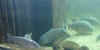 19.jpg (746059 Byte)