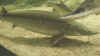 24.jpg (1089911 Byte)