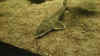 26.jpg (1124673 Byte)