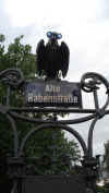 rabe02.jpg (865395 Byte)