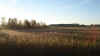 anderpeenedeich03.jpg (366878 Byte)
